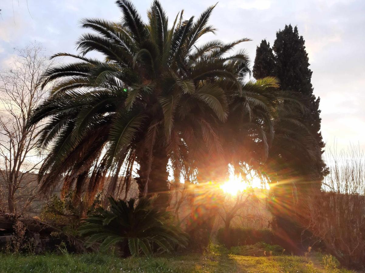 La Meriggia Senigallia Ancona Bagian luar foto